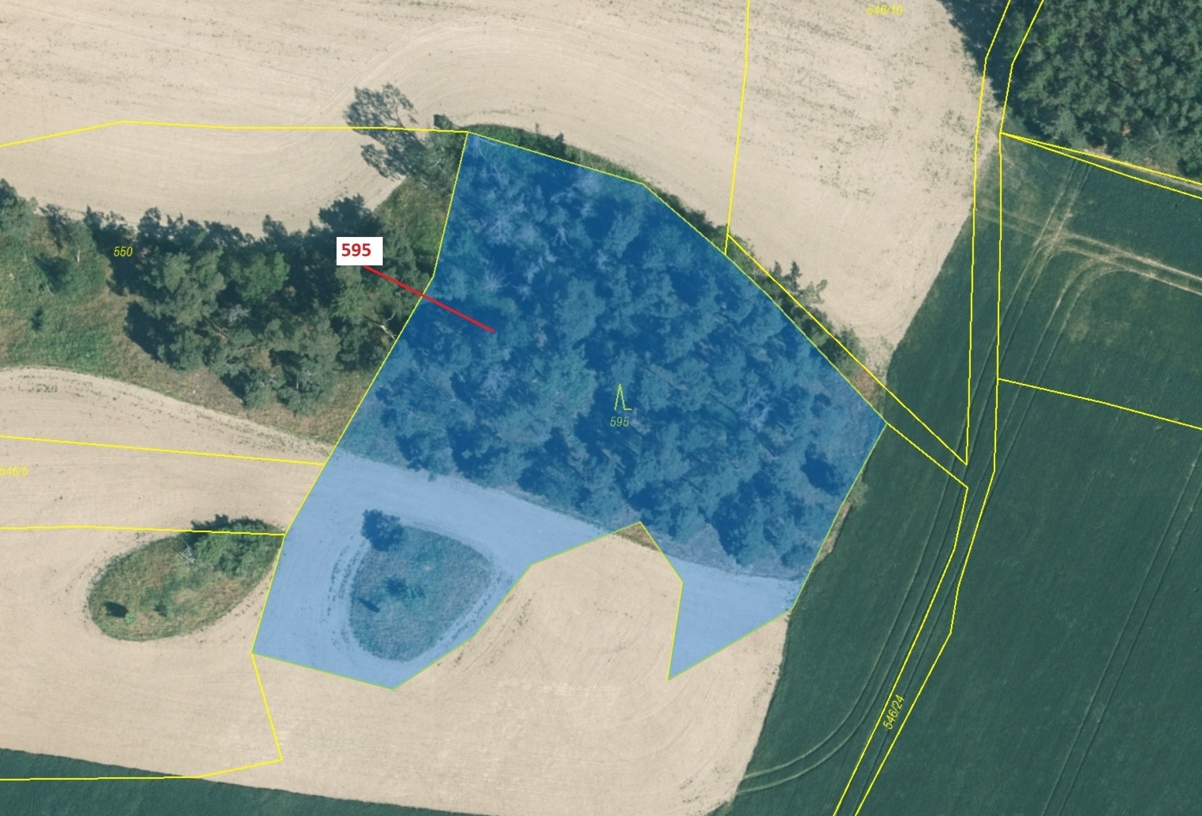 Lesní pozemek o výměře 4 801 m2, podíl 1/1, katastrální území Česká Doubravice, obec Manětín, obec s