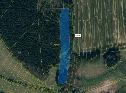 Prodej - pozemek, les, 5 041 m²