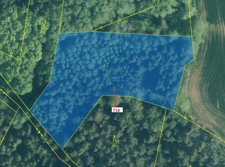 Prodej - pozemek, les, 4 499 m²