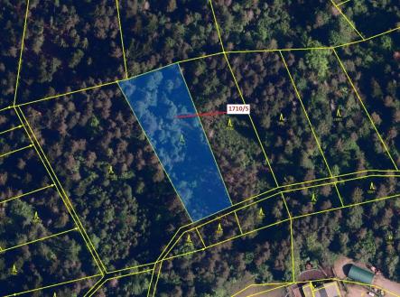 Prodej - pozemek, les, 3 528 m²