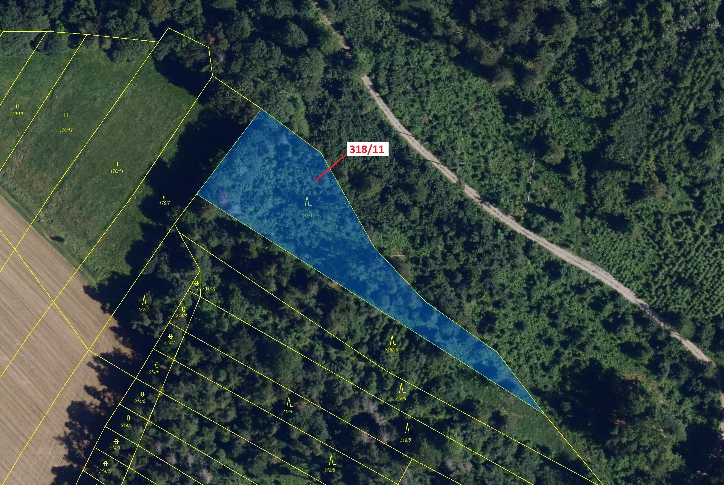 Lesní pozemek o výměře 3838 m2, podíl 1/1, katastrální území Lesní Hluboké, obec Lesní Hluboké, obec