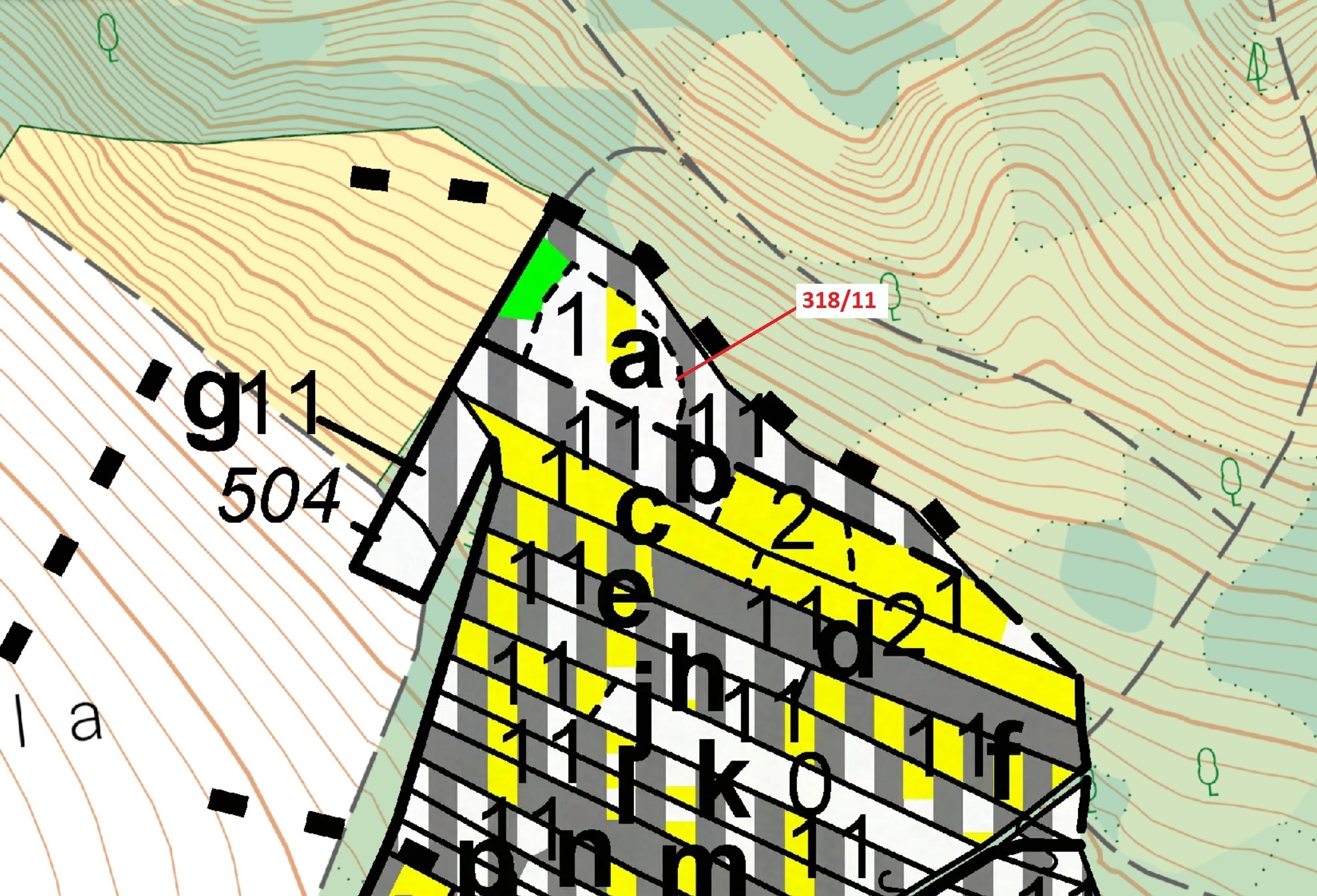 Lesní pozemek o výměře 3838 m2, podíl 1/1, katastrální území Lesní Hluboké, obec Lesní Hluboké, obec