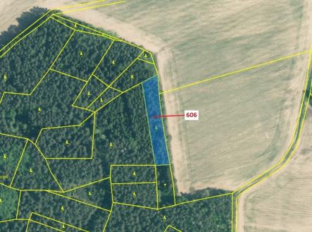 Prodej - pozemek, les, 2 526 m²