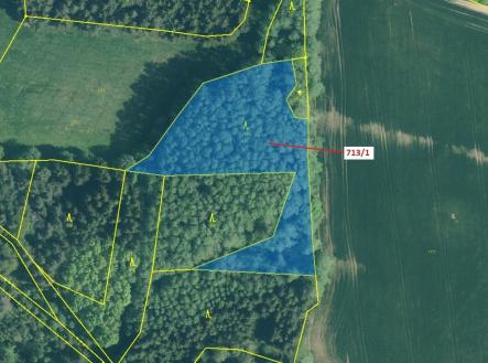 Prodej - pozemek, les, 5 067 m²