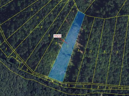 Prodej - pozemek, les, 5 798 m²