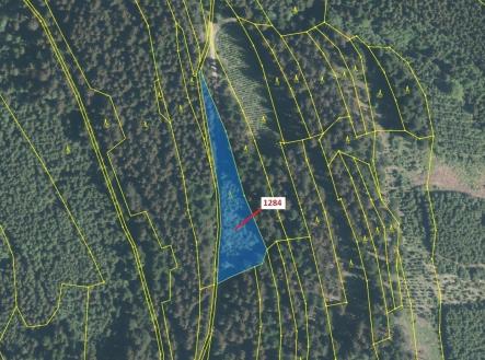 Prodej - pozemek, les, 3 805 m²