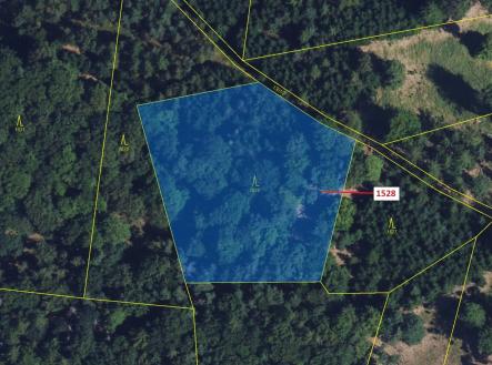 Prodej - pozemek, les, 5 323 m²
