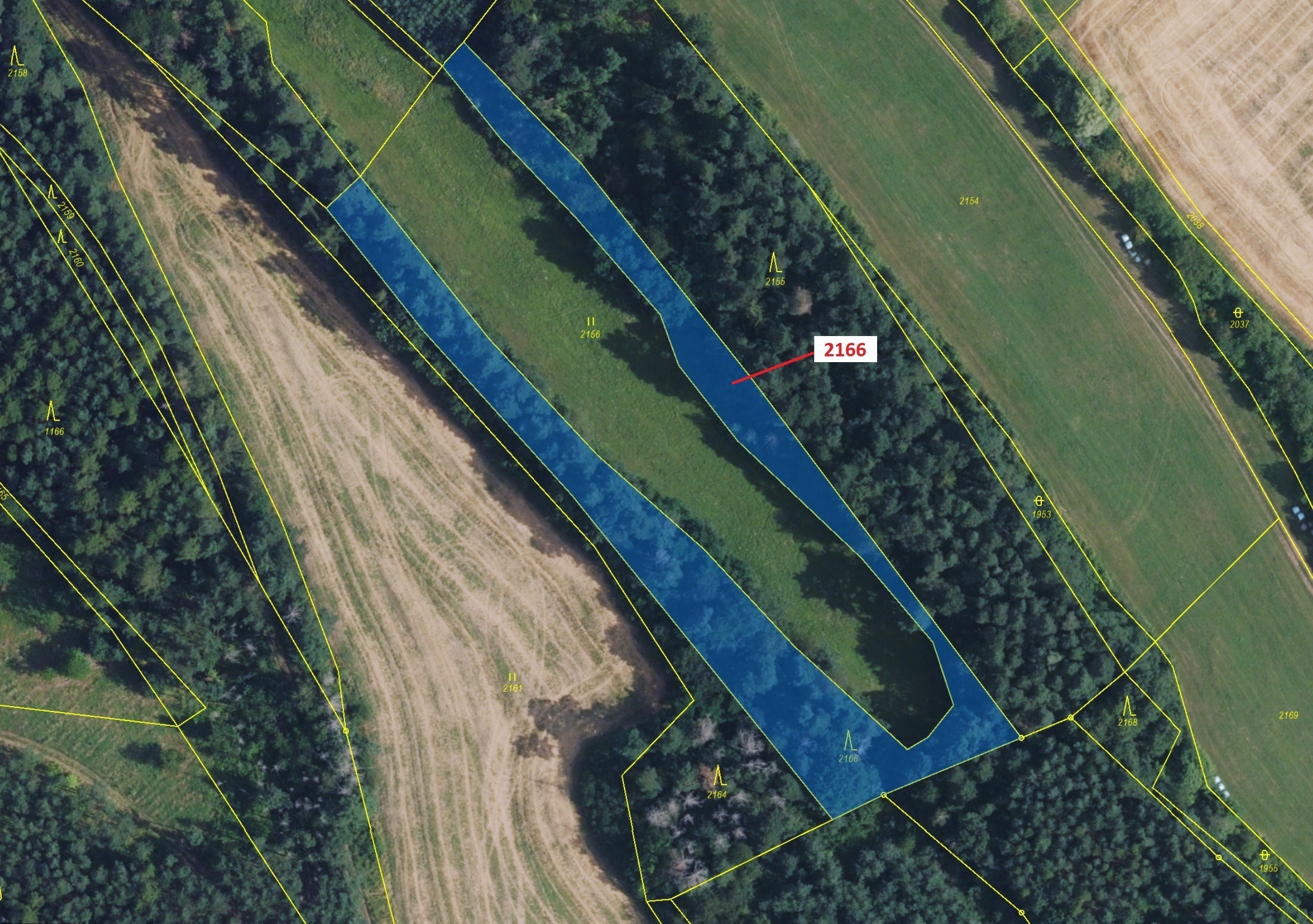 Lesní pozemek o výměře 3616 m2, podíl 1/1, katastrální území Žďárec, obec Žďárec, obec s rozšířenou 