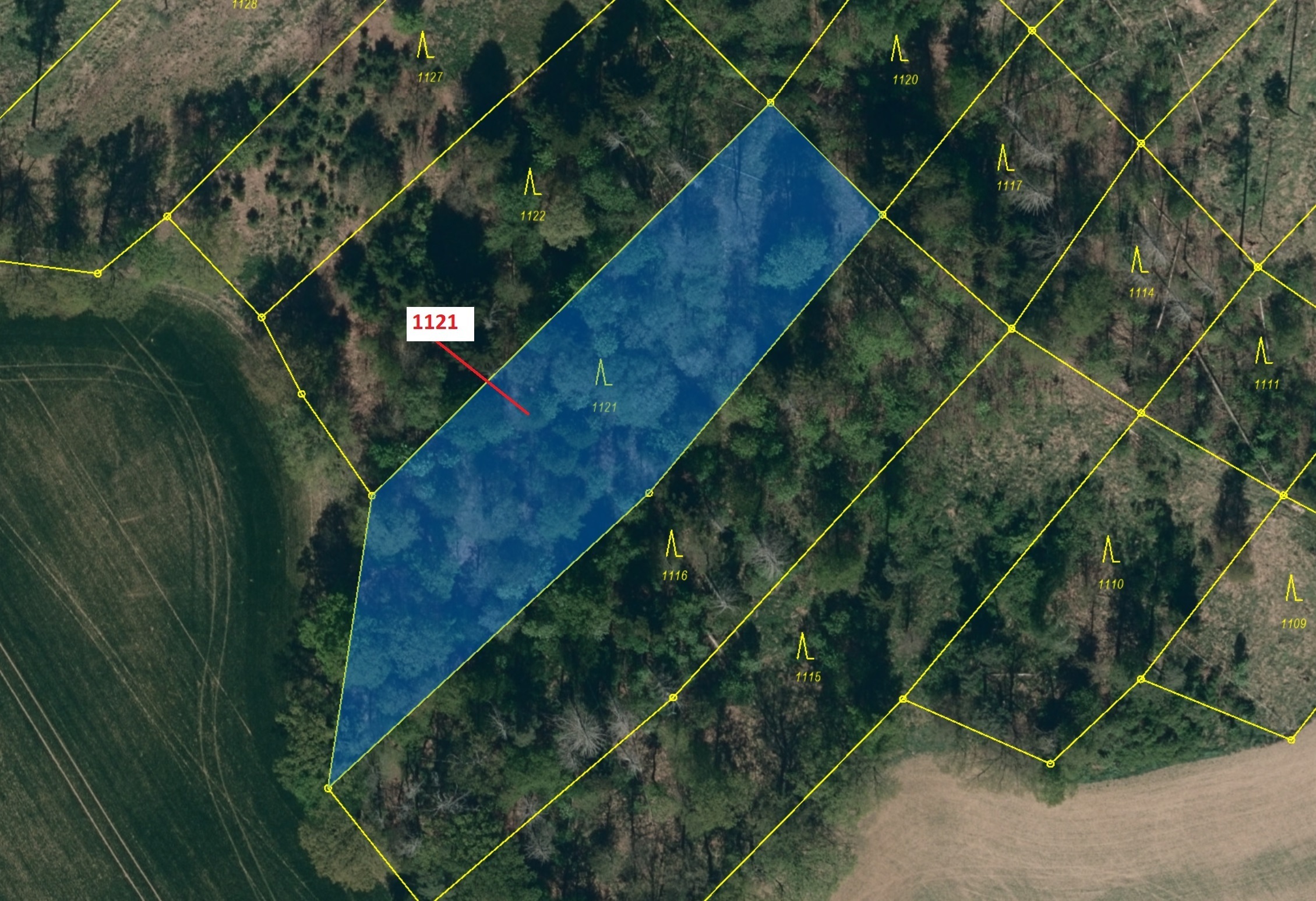 Lesní pozemek o výměře 2998 m2, podíl 1/1, katastrální území Jedov, obec Náměšť nad Oslavou, obec s 