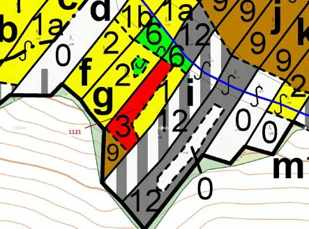 Prodej - pozemek, les, 2 998 m²