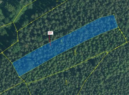 Prodej - pozemek, les, 2 913 m²