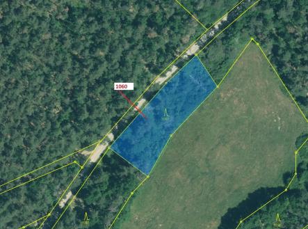 Prodej - pozemek, les, 1 462 m²