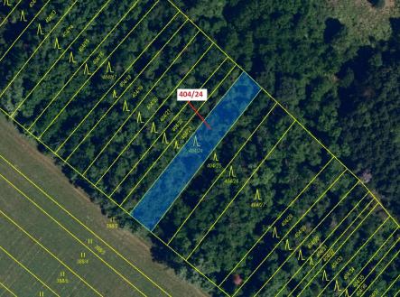 Prodej - pozemek, les, 741 m²