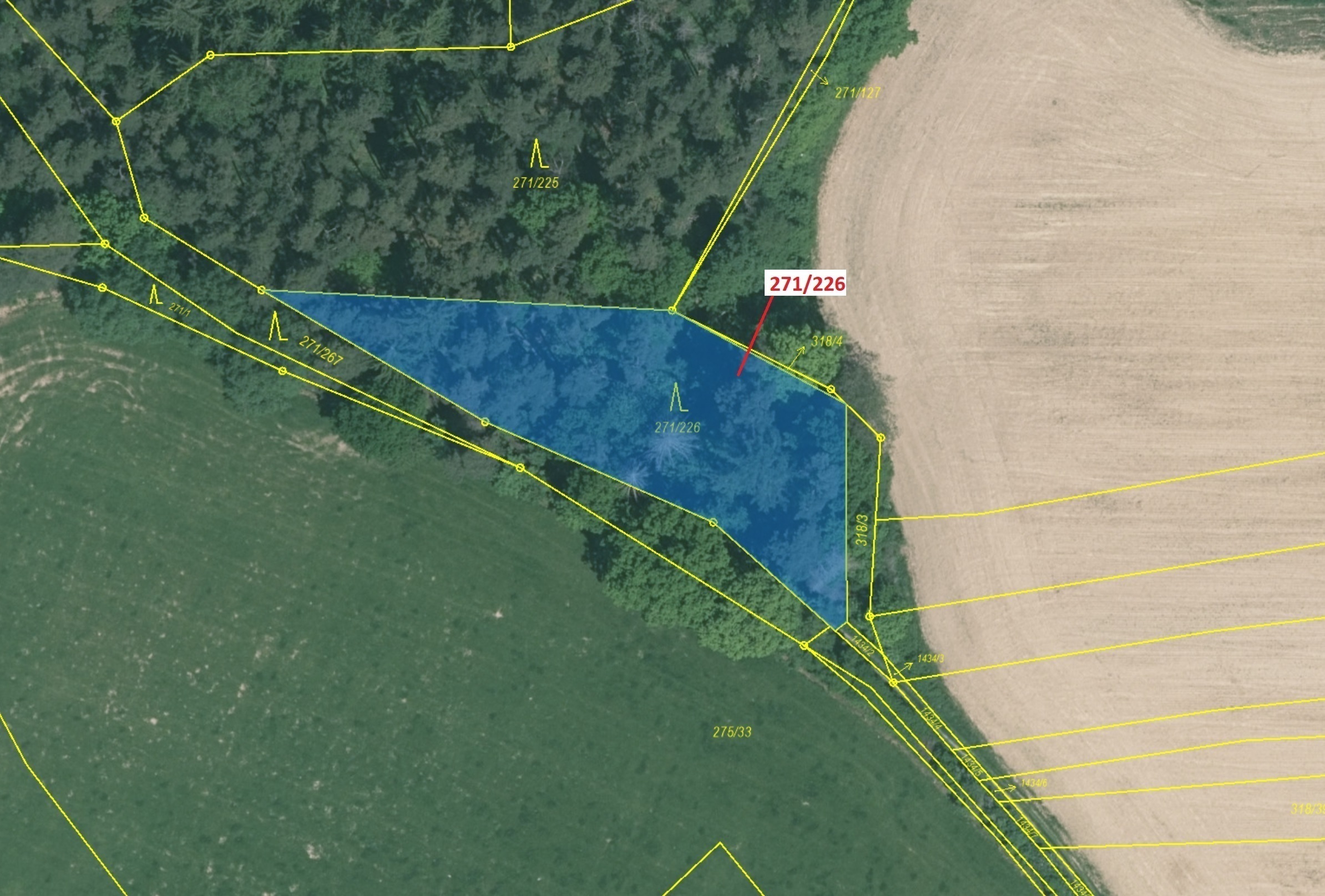 Lesní pozemek o výměře 1643 m2, podíl 1/1, katastrální území Milavče, obec Milavče, obec s rozšířeno