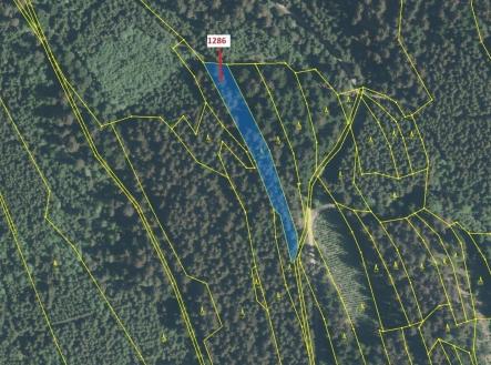 Prodej - pozemek, les, 2 442 m²