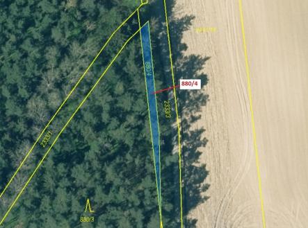 Prodej - pozemek, les, 130 m²