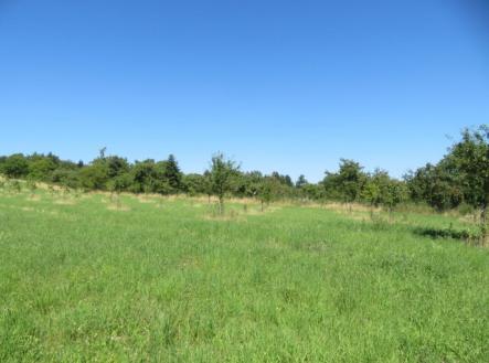 Prodej - pozemek, ostatní, 5 768 m²