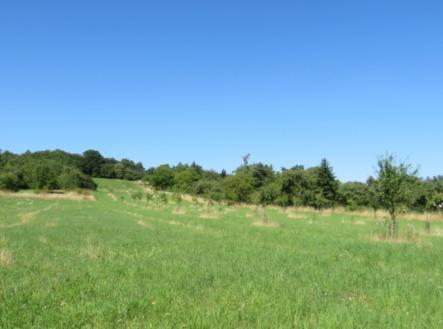 Prodej - pozemek, ostatní, 5 768 m²