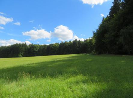 Prodej - pozemek, trvalý travní porost, 4 175 m²