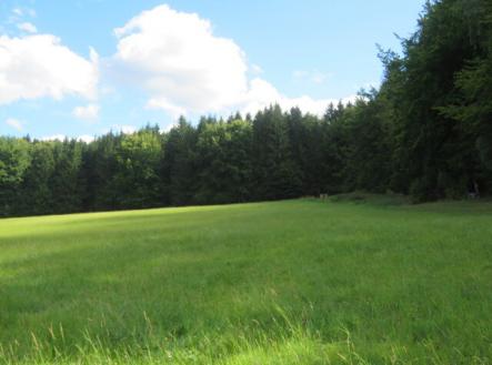 Prodej - pozemek, trvalý travní porost, 4 175 m²