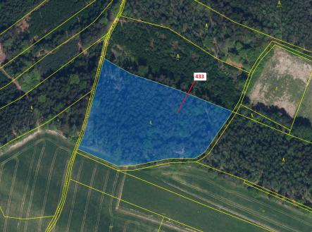 Prodej - pozemek, les, 15 106 m²