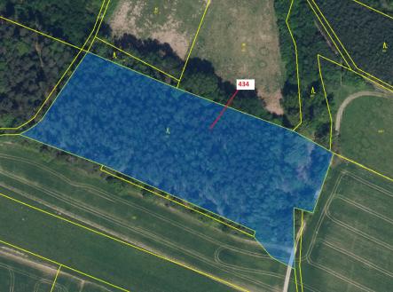 Prodej - pozemek, les, 15 378 m²