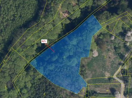 Prodej - pozemek, les, 6 871 m²