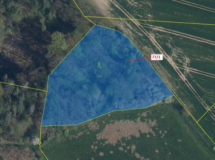 Prodej - pozemek, les, 4 432 m²