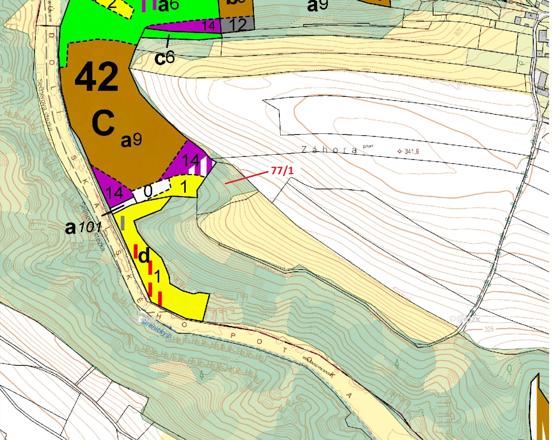 Lesní pozemek o výměře 4432 m2, podíl 1/1, katastrální území Víska u Březovic, obec Březovice, obec 