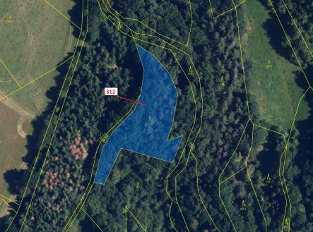 Prodej - pozemek, les, 2 554 m²