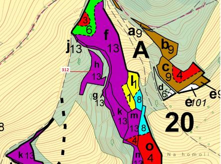 Prodej - pozemek, les, 2 554 m²