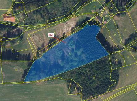 Prodej - pozemek, les, 12 606 m²