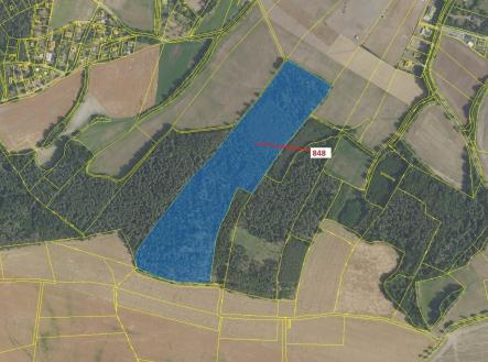 Prodej - pozemek, les, 81 658 m²
