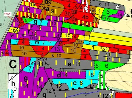 Prodej - pozemek, les, 13 375 m²