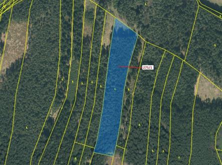 Prodej - pozemek, les, 15 717 m²