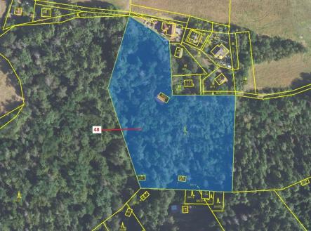 Prodej - pozemek, les, 8 962 m²