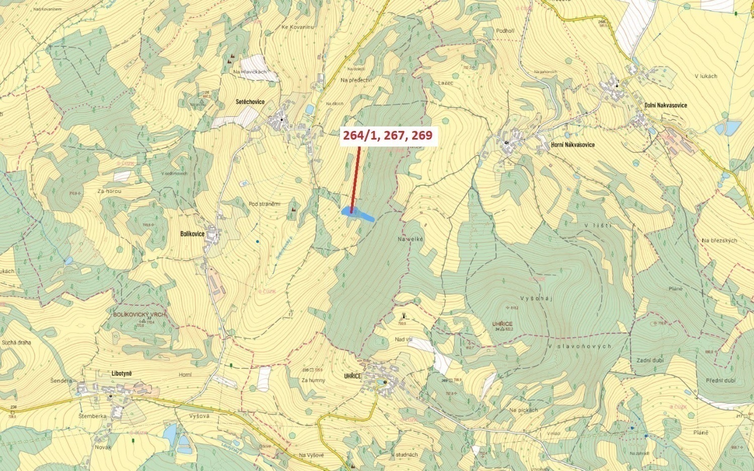 Trvalý travní porost a ostatní plocha o výměře 6 779 m2, podíl 1/1, katastrální území Setěchovice, o