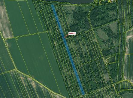 Prodej - pozemek, les, 19 879 m²