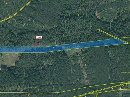 Prodej - pozemek, les, 12 984 m²