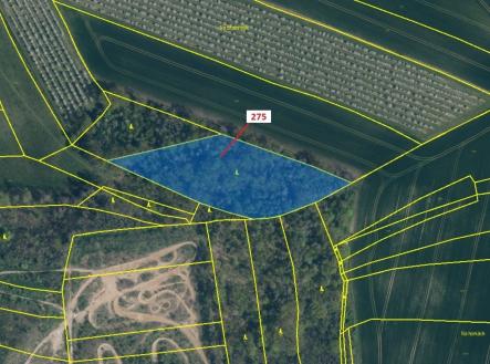 Prodej - pozemek, les, 10 319 m²