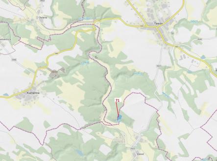 Prodej - pozemek, les, 6 602 m²