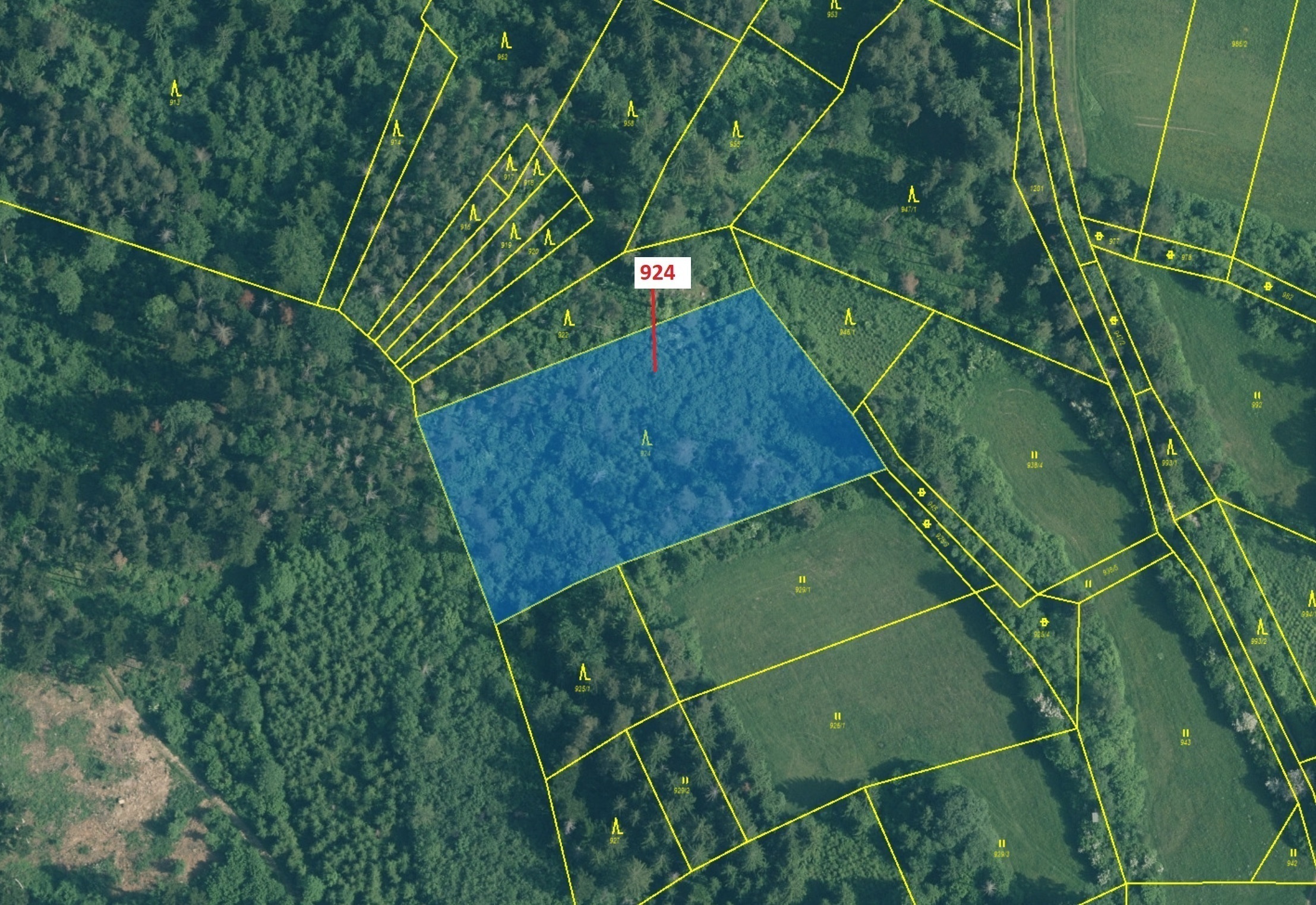 Lesní pozemek o výměře 6 042 m2, podíl 1/1, katastrální území Čepice, obec Rabí, obec s rozšířenou p