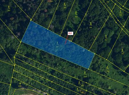 Prodej - pozemek, les, 2 344 m²