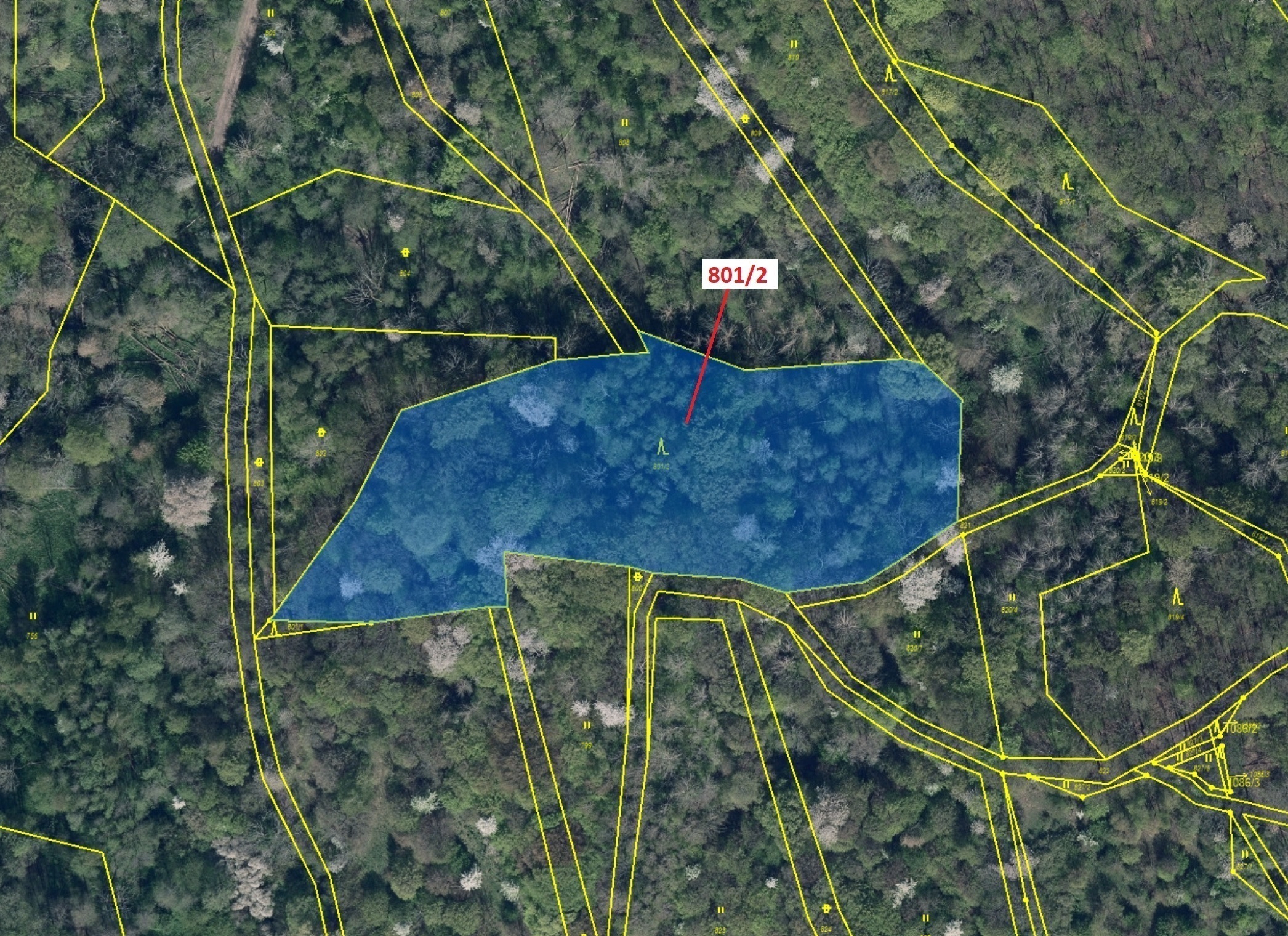 Lesní pozemek o výměře 8 765 m2, podíl  9/10, katastrální území Zubrnice, obec Zubrnice, obec s rozš