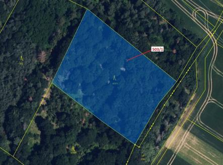 Prodej - pozemek, les, 7 049 m²