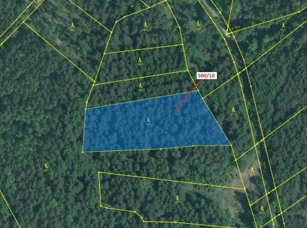 Prodej - pozemek, les, 5 755 m²