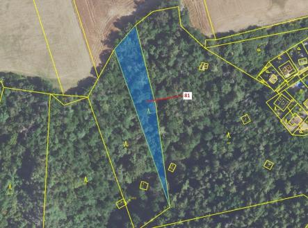 Prodej - pozemek, les, 1 816 m²