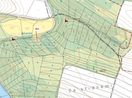 Prodej - pozemek, les, 961 m²