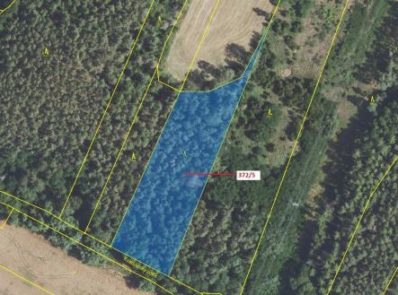 Prodej - pozemek, les, 7 060 m²