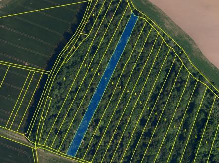 Prodej - pozemek, les, 6 360 m²